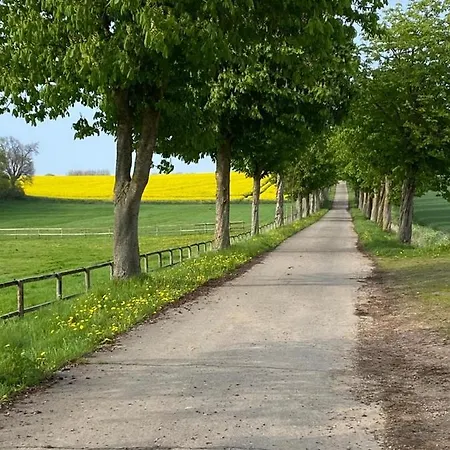 Schmuckstueck In Ostseenaehe Апартаменты Surendorf