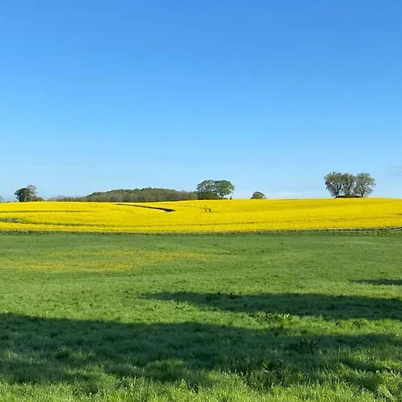 Schmuckstück In Ostseenähe *