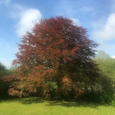Schmuckstueck In Ostseenaehe Appartement Surendorf