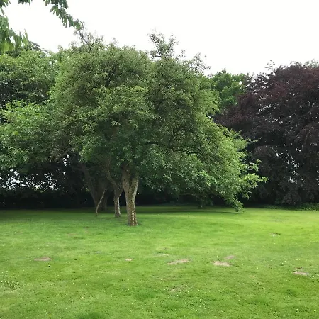 Schmuckstueck In Ostseenaehe